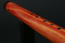 Eastern Red Cedar Native American Flute, Medicine Man, Mid A-4, #E5I
